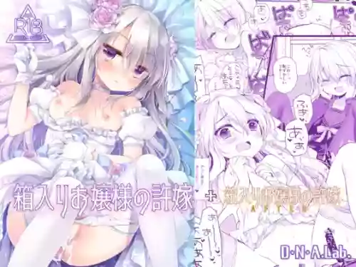 Hakoiri Ojou-sama no Iinazuke + After