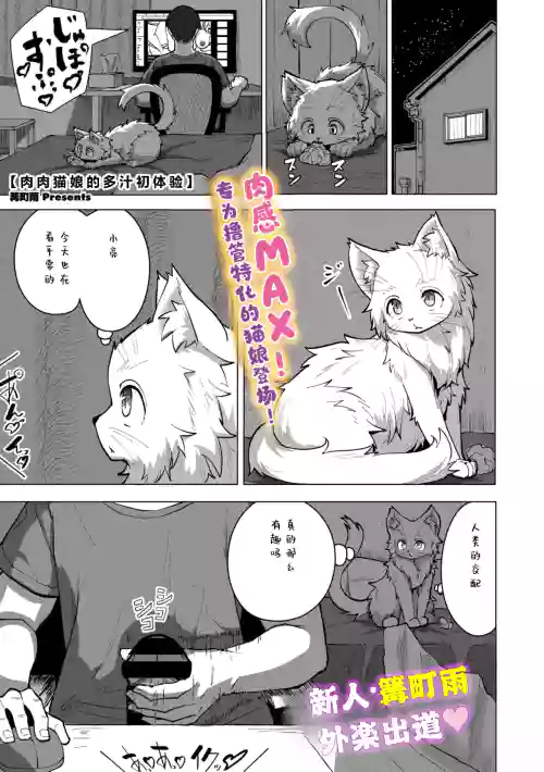 mutimuti nekomusume no tuyudaku hatu taikenn | 肉肉猫娘的多汁初体验