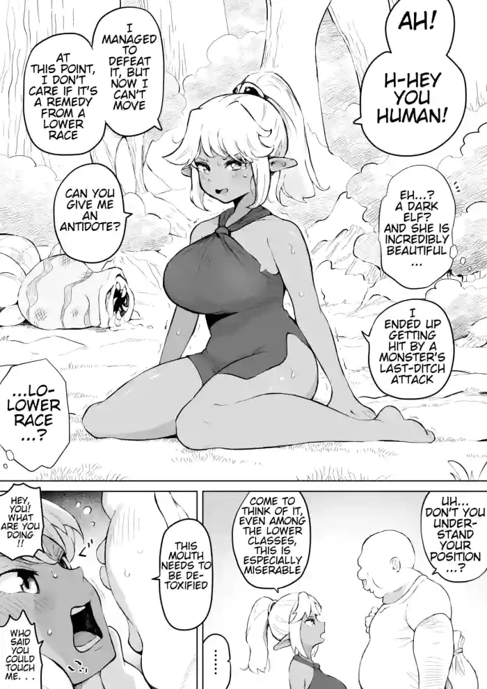 Ugokenai Dark Elf ni Suki Katte suru Hanashi | A Story About Doing Whatever You Want to a Dark Elf Who Can't Move cover