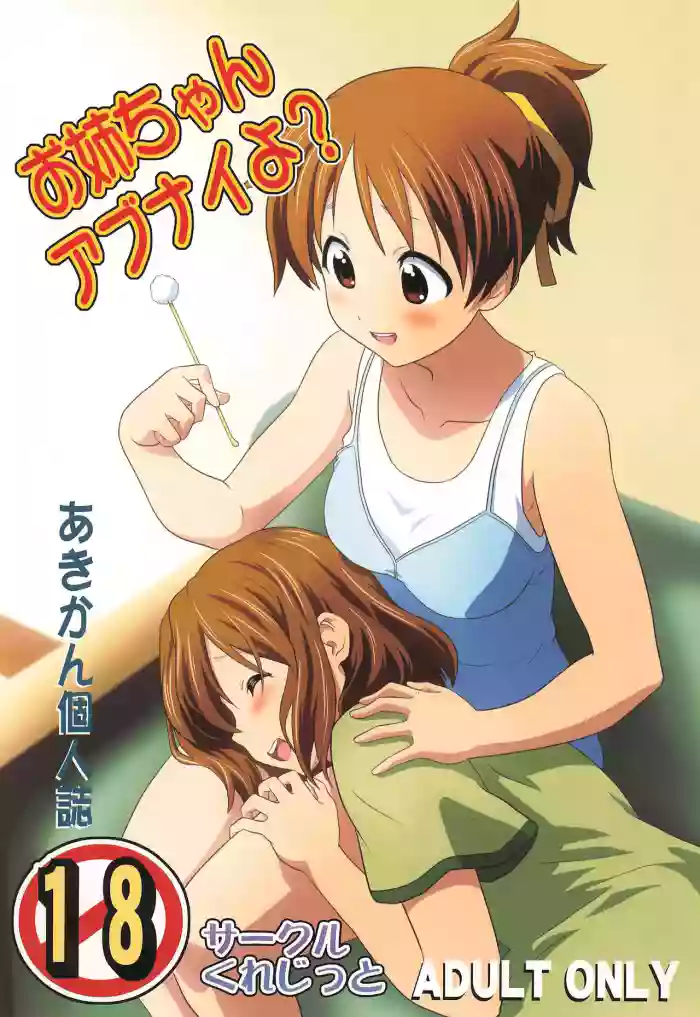Onee-chan Abunaiyo? cover