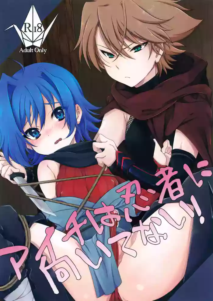 Aichi wa Ninja ni Muitenai! cover