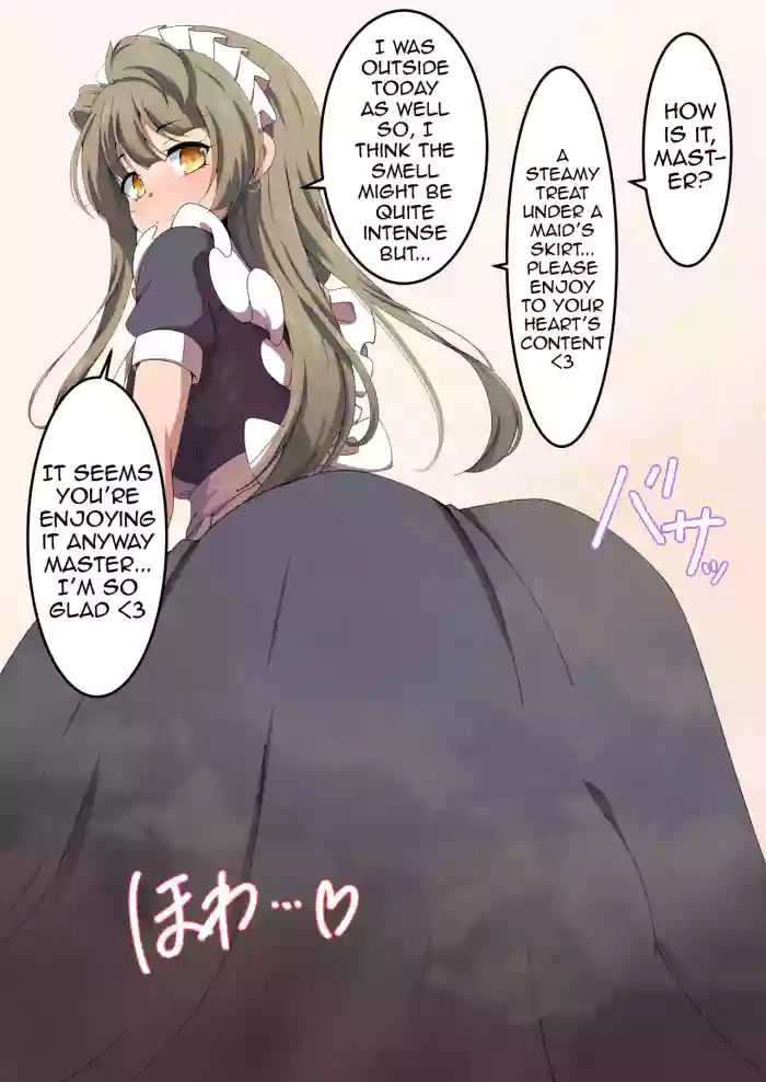 Skirt Steam cover
