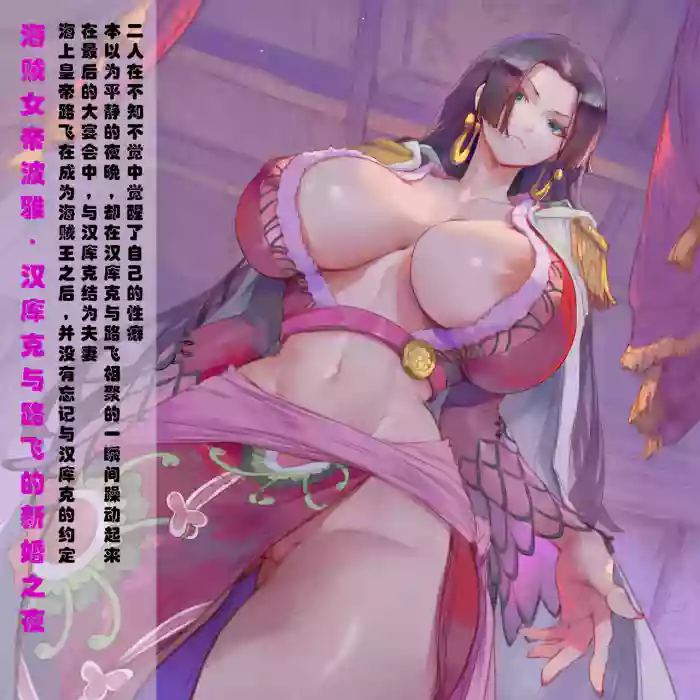 汉库克与路飞的新婚之夜（汉化） cover
