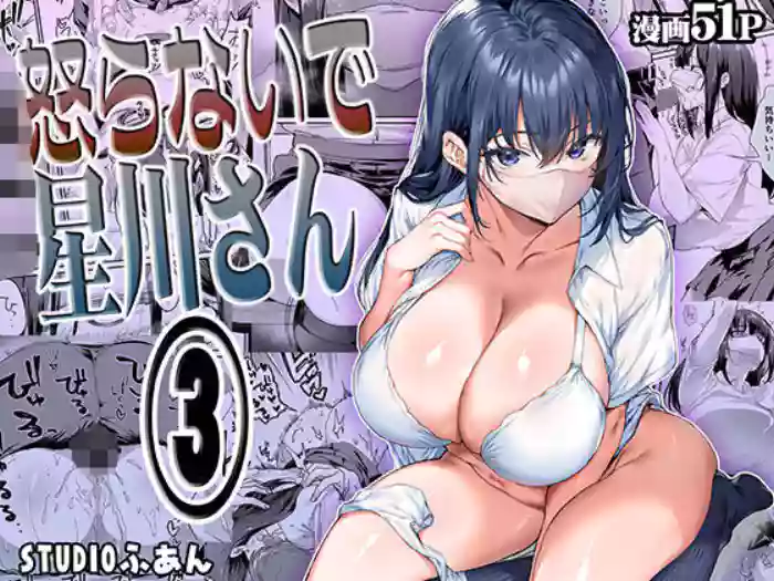 Okoranaide Hoshikawa-san 3 | Hey, Hold your Horses, Hoshikawa-san! 3 cover