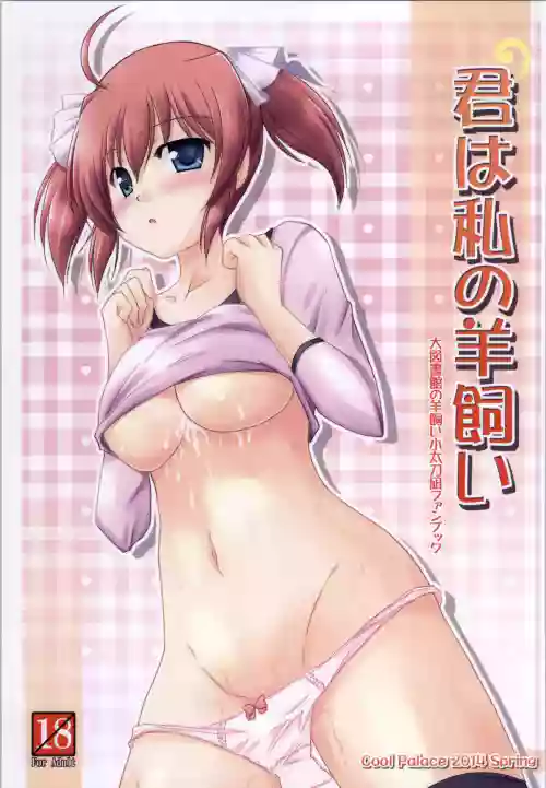Kimi wa Watashi no Hitsujikai