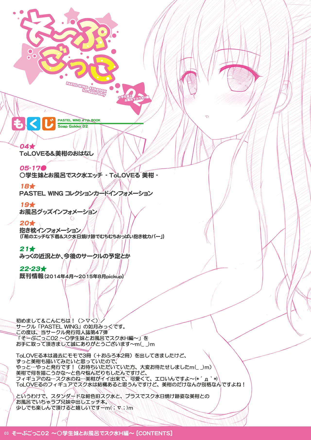 Soap Gokko 02 ~Shougakusei Imouto to Ofuro de Sukumizu H Hen~ page 3 full